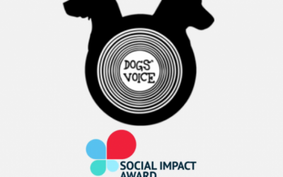 SOCIAL IMPACT AWARD 2016 FINALISTS | DOGS’ VOICE, ΜΙΑ ΕΛΛΑΔΑ ΧΩΡΙΣ ΑΔΕΣΠΟΤΑ