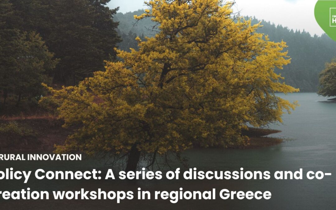 Policy Connect: A series of discussions and co-creation workshops in regional Greece