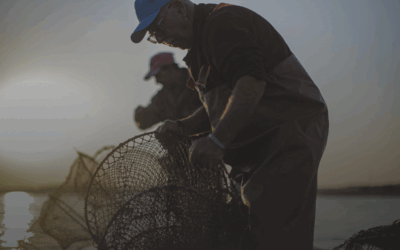 The Sea Is Calling Us to Think Differently