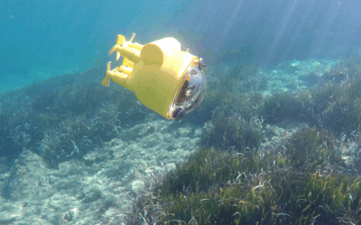 How Impact Hub Athens Supports Climate Innovation Through INNO4CFIs
