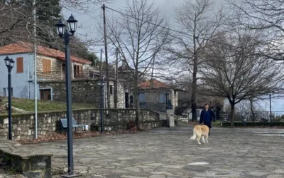 The life in the mountain peaks of Pindus: the case of a very small village in East Zagori